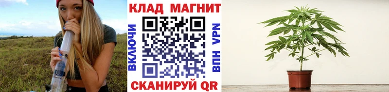 Как найти наркотики Чекалин Cocaine  ГАШ  A-PVP  Псилоцибиновые грибы  Каннабис 