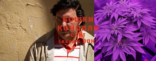 экстази Горняк