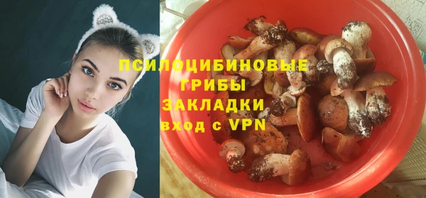 гашик Горнозаводск