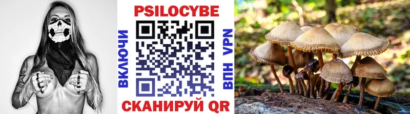 Псилоцибиновые грибы Psilocybe  ОМГ ОМГ зеркало  Чекалин 